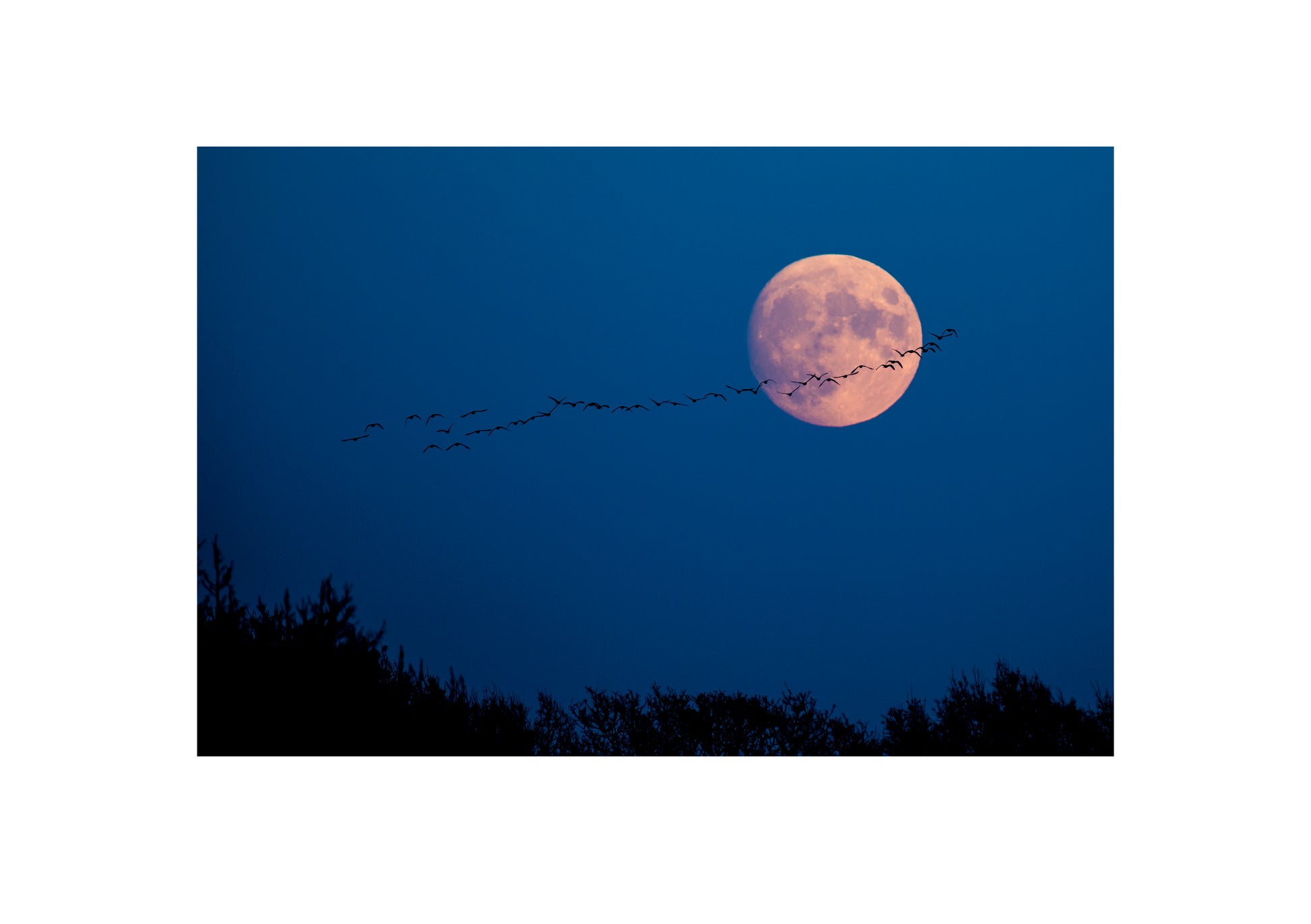 Der Mond geht auf